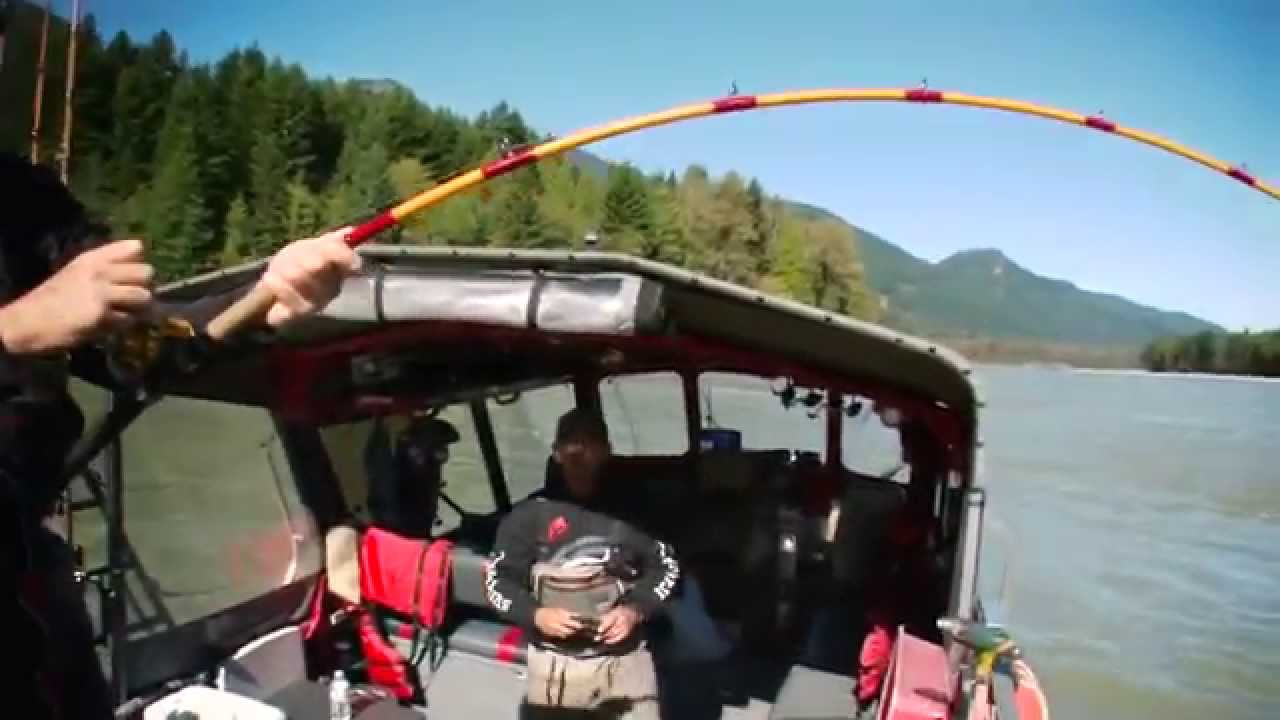 Sportfishing Adventures S01E07 Sturgeon in the Upper Fraser