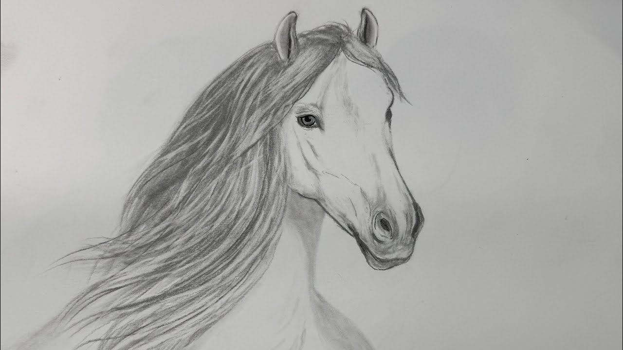 How to draw a Horse