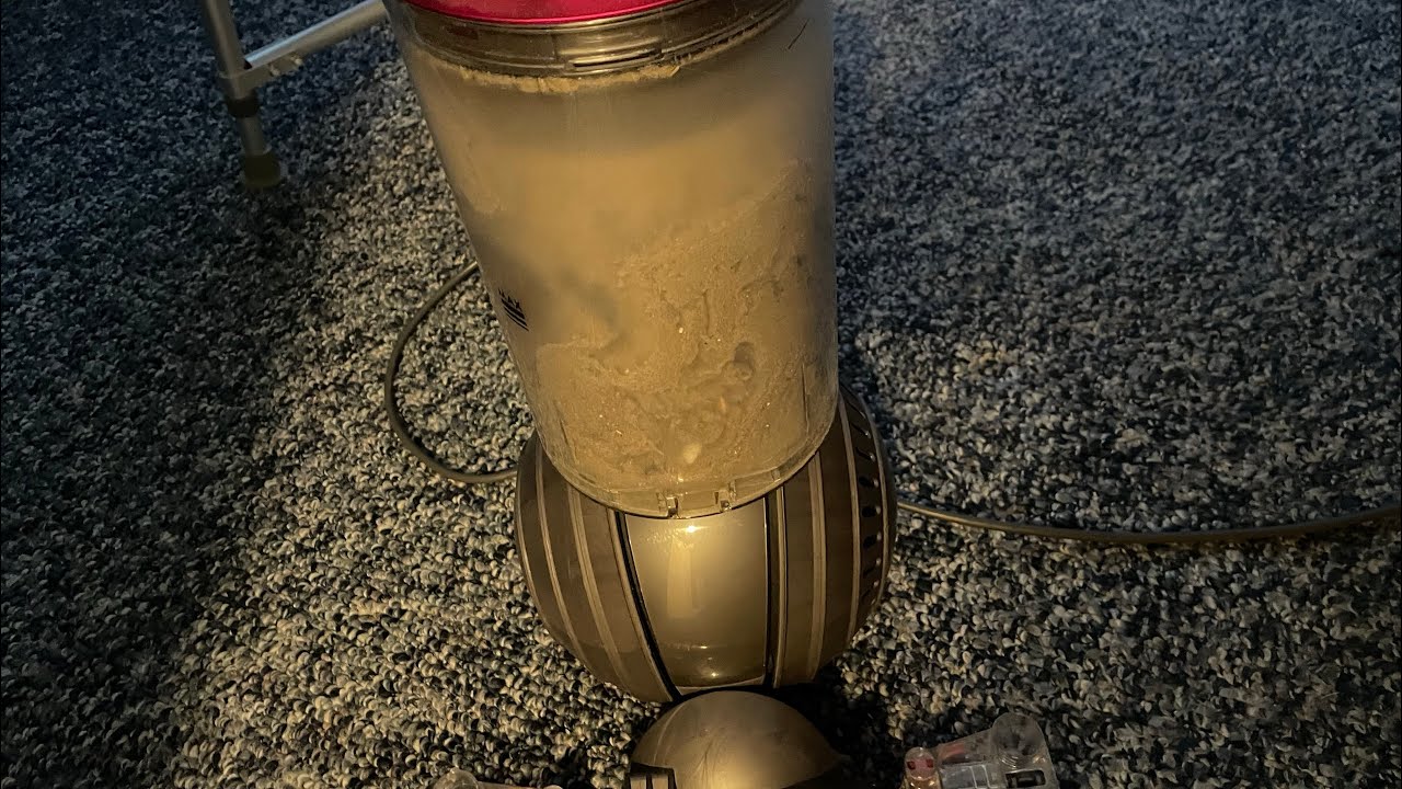 Natural vacuuming @granny house || bin dumps