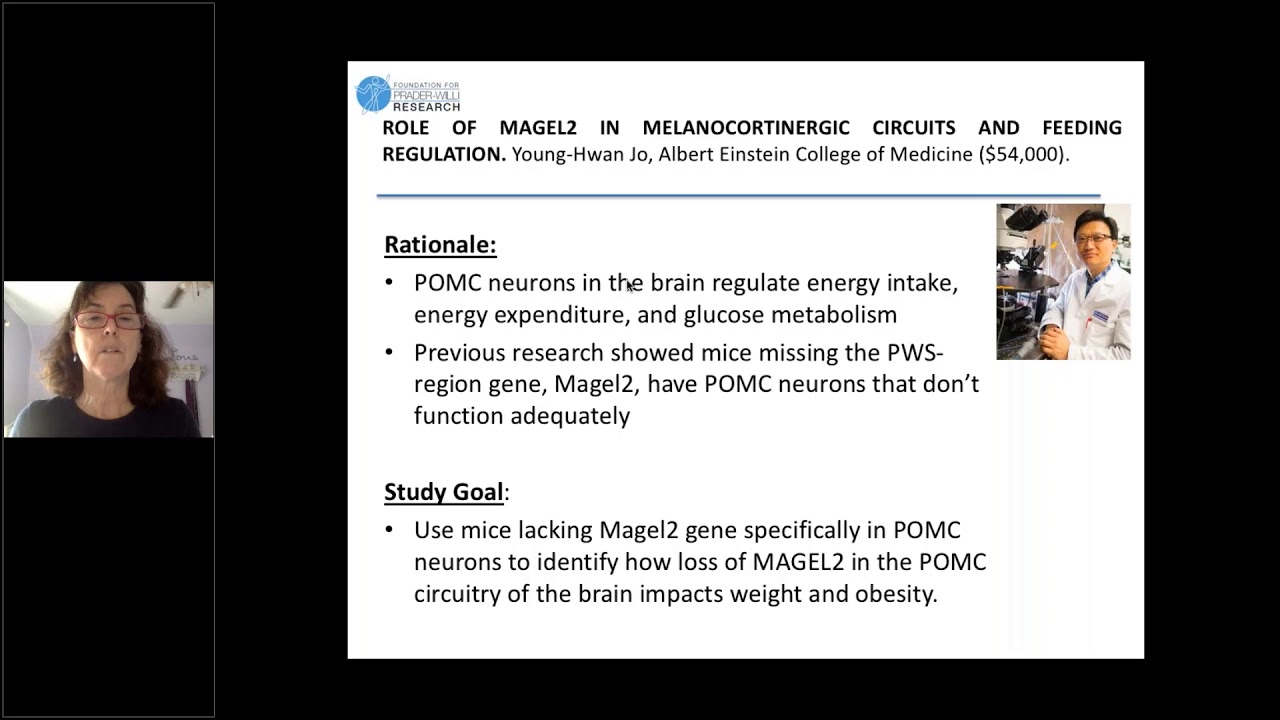 FPWR Funded Project: Role of MAGEL2 in melanocortinergic circuits and feeding regulation