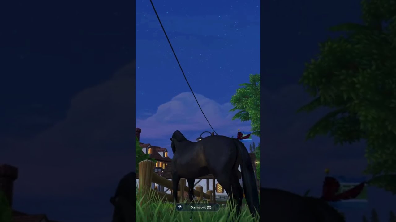 Onyx, my champion of a stallion. #amnewbutnottheleast #sso #cool #starstable
