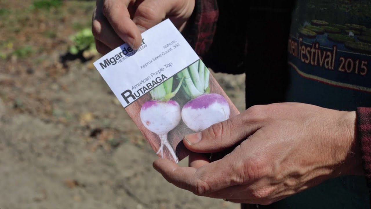 Planting The Single Row Garden for Spring - Modern Victory Gardening