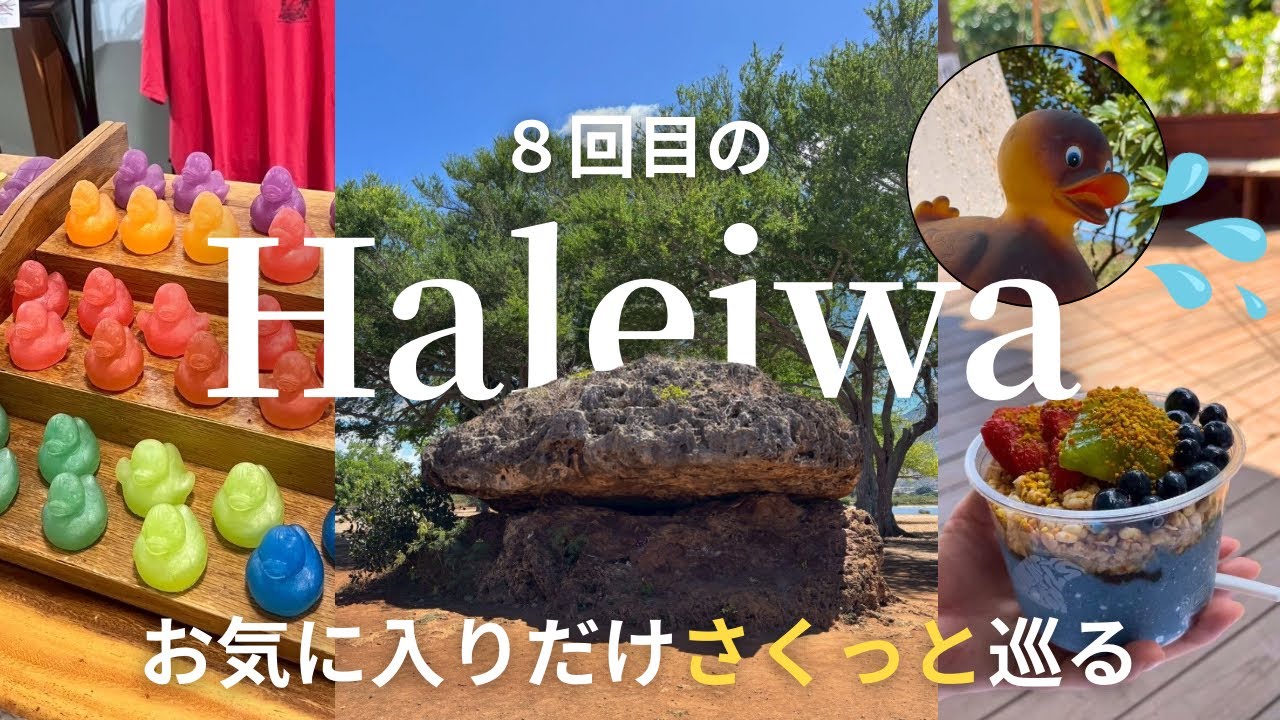 【大人のハレイワ再訪】何度も通う馴染みのお店とパワースポットを巡る｜オーガニックスーパー🌿｜青いアサイー🫐 #ハレイワ #ドライブ #作業用