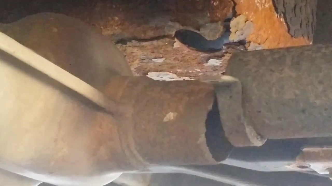 Simple Exhaust Pipe Repair