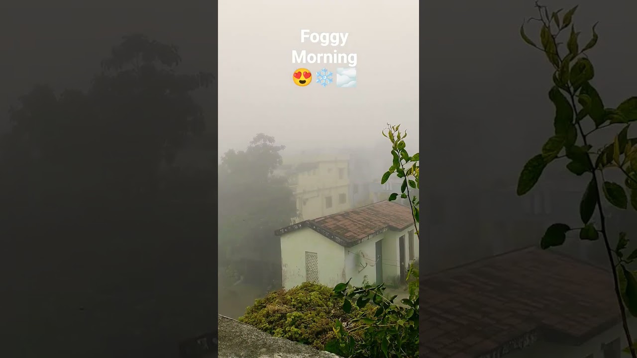 foggy morning view😍