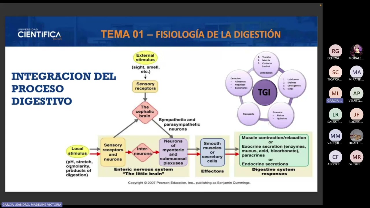digestivo 1
