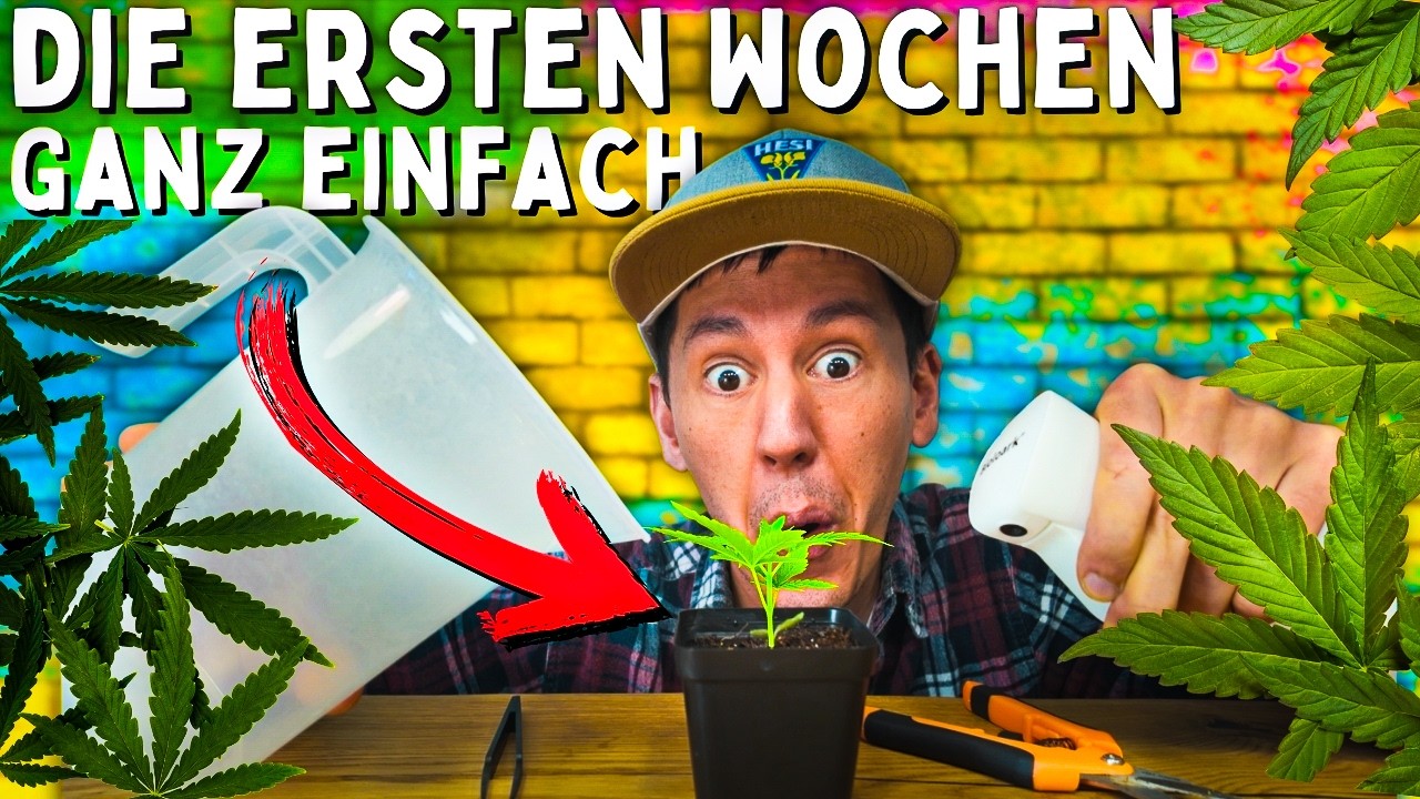 5 Tipps f&uuml;r den perfekten Start deiner Pflanze 😮 Das musst du wissen! Together Grow Folge 2
