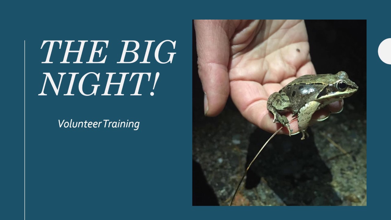 The Big Night Training Video