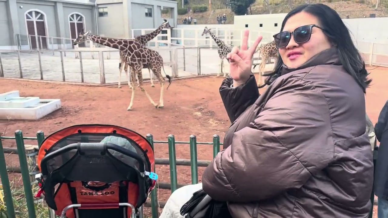 MAIN KE TAMA ZOO