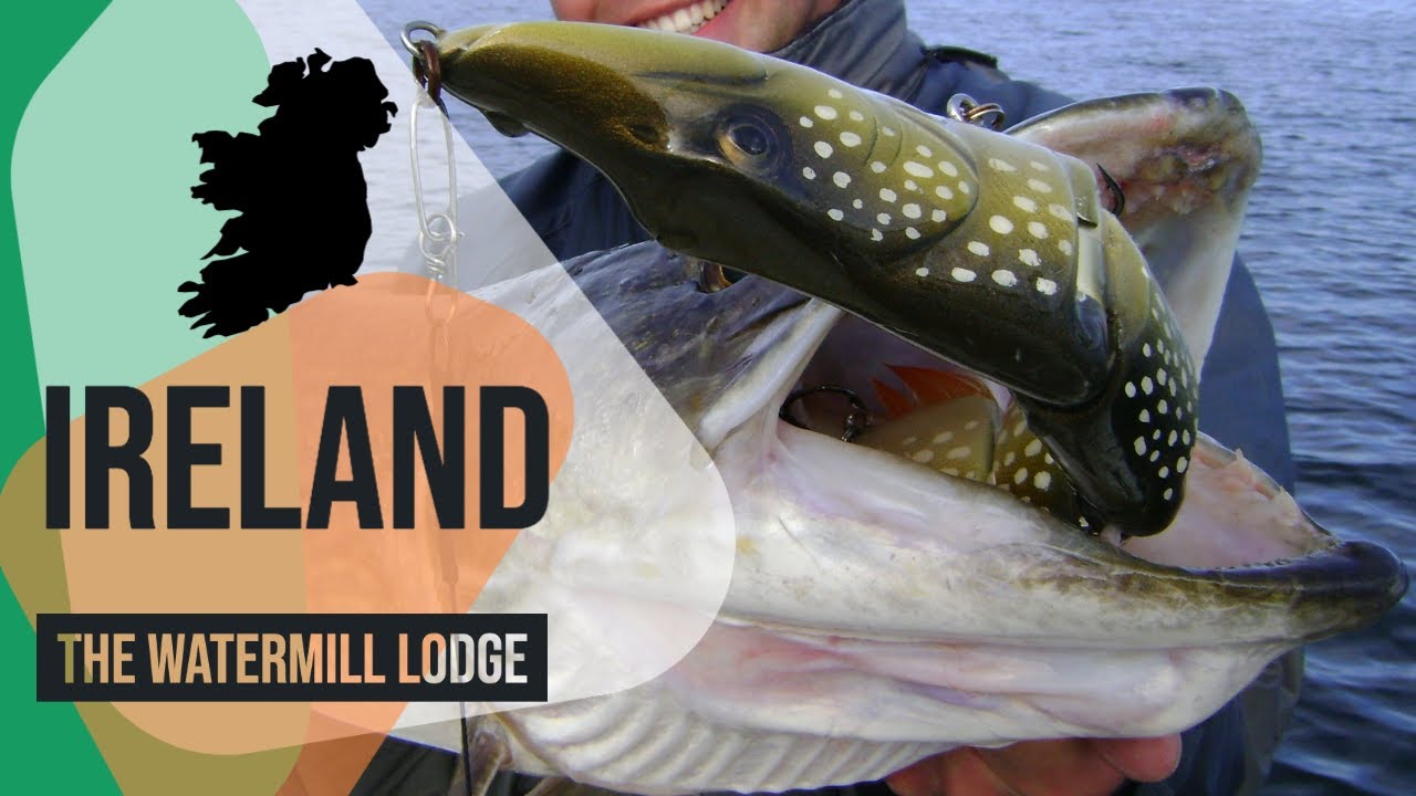 Vicious Irish Cannibals - Pike Fishing in Ireland at The Watermill Lodge