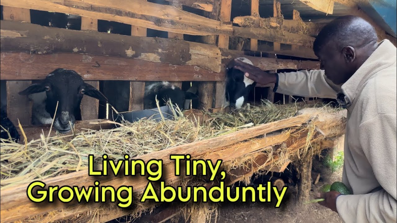 A Mechanical Engineer Retired early to set up a 6-acre Farm With Tiny Houses