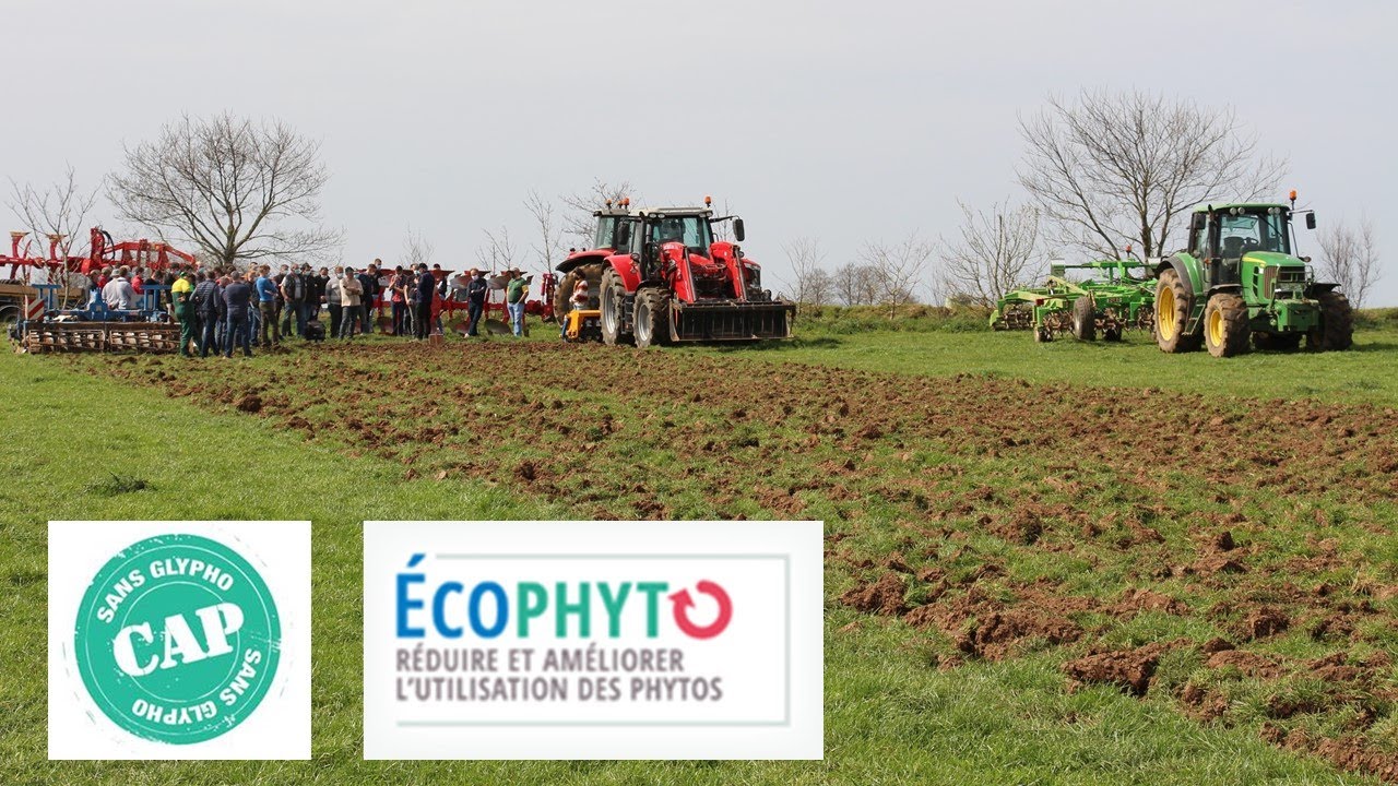 Cap Sans Glypho, la destruction prairies