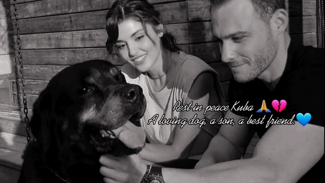Eda & Serkan & Sirius - It's ok 😢🙏💔 #edser #hanker #sirius #kuba #sencalkapimi #постучисьвмоюдверь