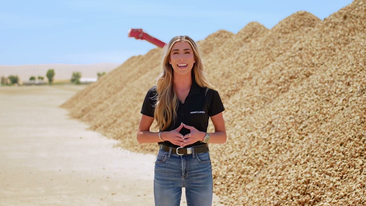 August 2025 Almond Market Update with Nicole Wurzel of Agrifluence