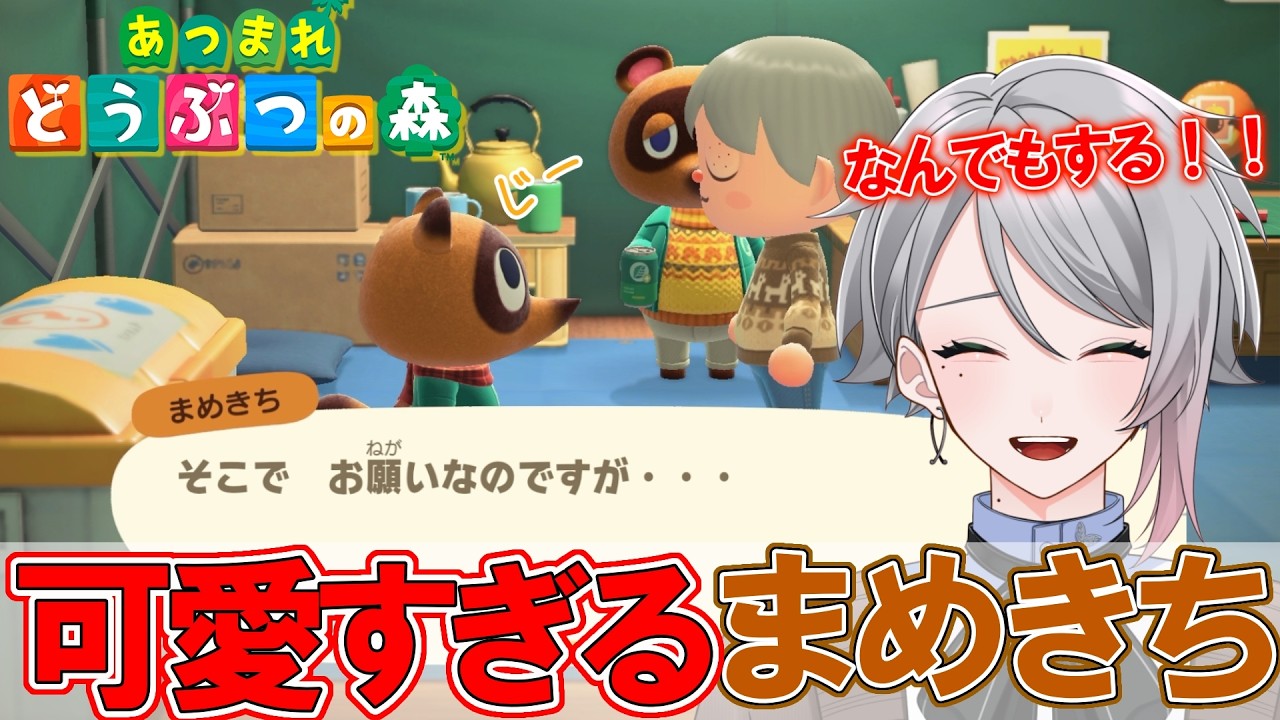 ＃5【あつ森切り抜き】まめきちのあざとさにちょろすぎる島民代表ｗ【喫茶しろえ】