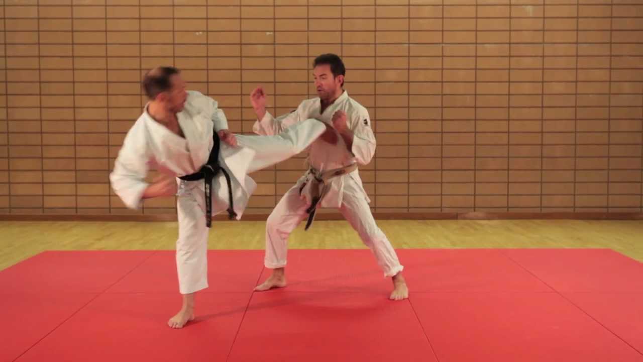 KARATÉ EXPERT - PASSAGE DE GRADES - Kihon Ippon Kumite - Niveau Avancé - 1er DAN - Eric Delannoy