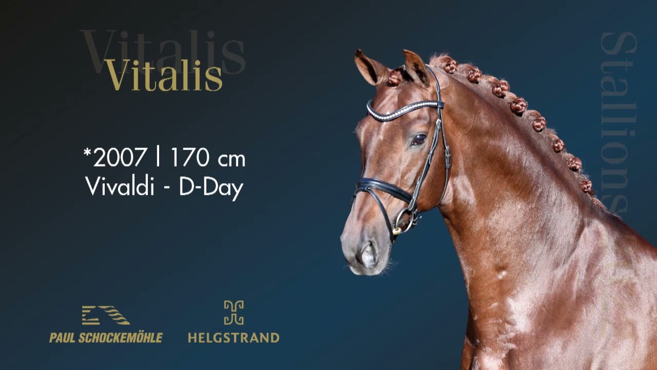 Vitalis - Dressurkollektion 2022 Schockemöhle & Helgstrand (DEU)