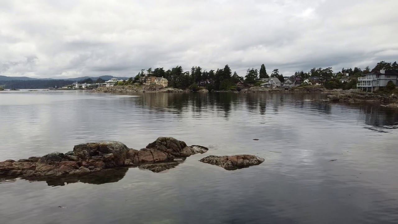 Saxe Point Park Fly Around