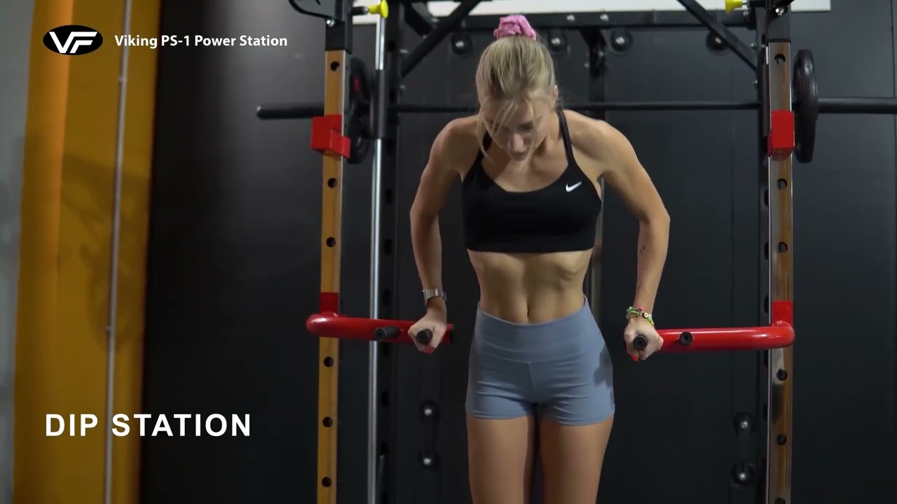 Viking PS-1 Power Station