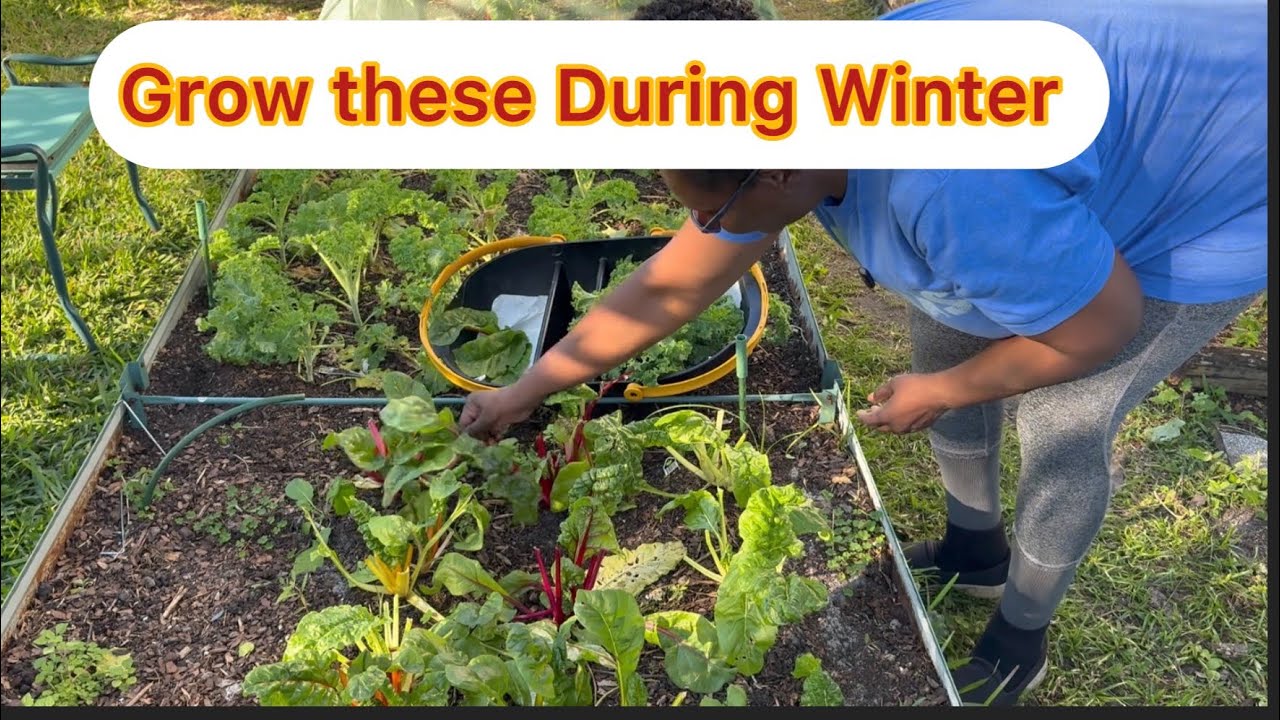 Grow these and get Countless Harvest 