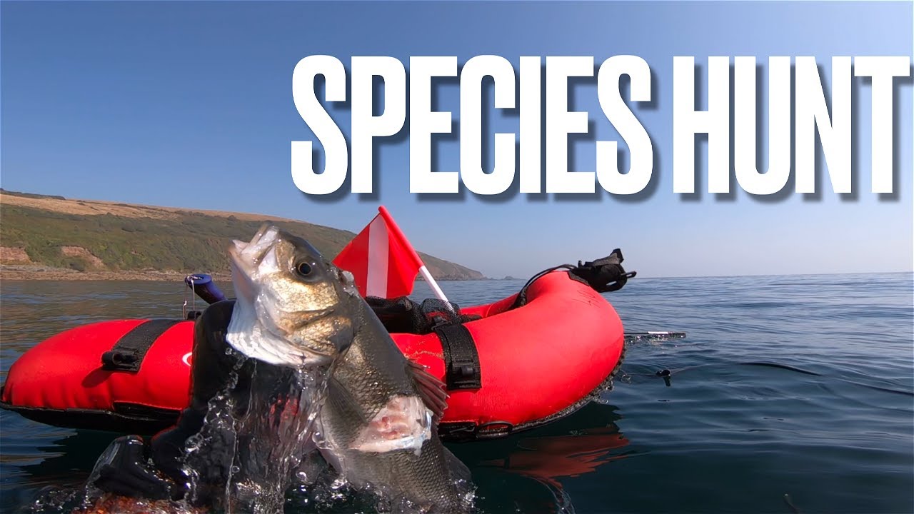 SPECIES HUNT - REDEMPTION - UK SPEARFISHING