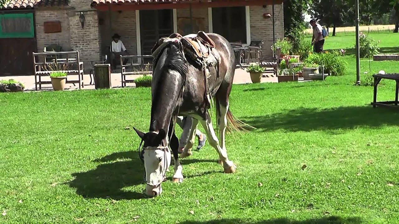 РАНЧО Эль Омбу Де Ареко / ESTANCIA El Ombu De Areco (6)