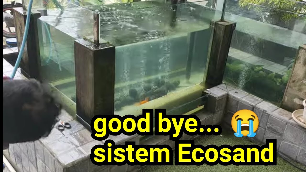 Good bye Ecosand, akhirnya setelah 2 tahun lebih menggunakan sistem Ecosand