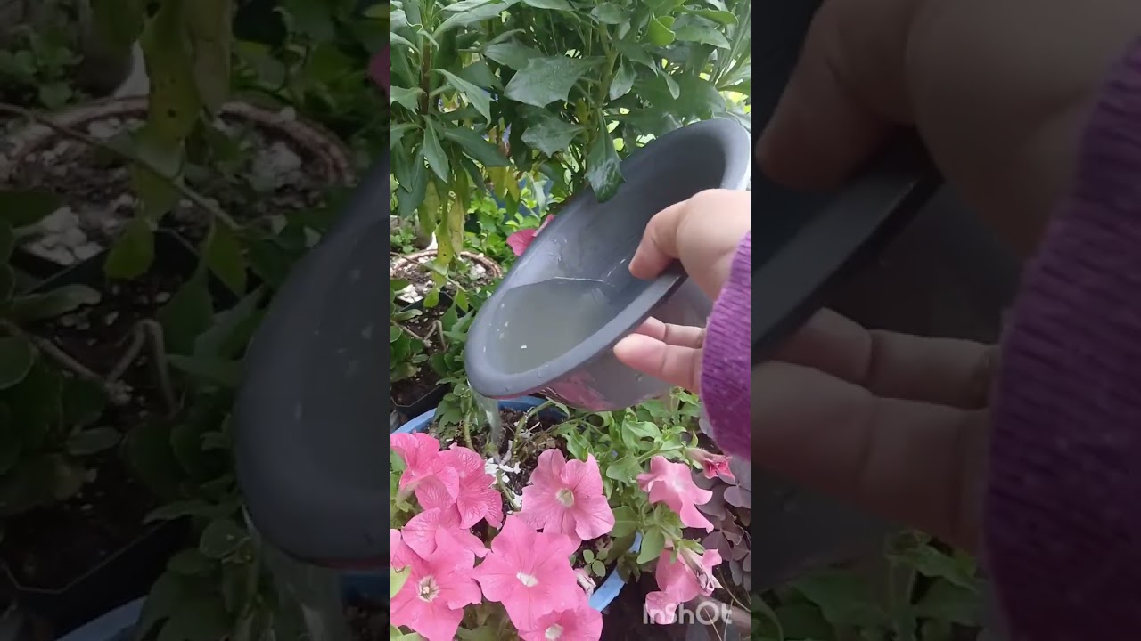 9 de febrero de 2026