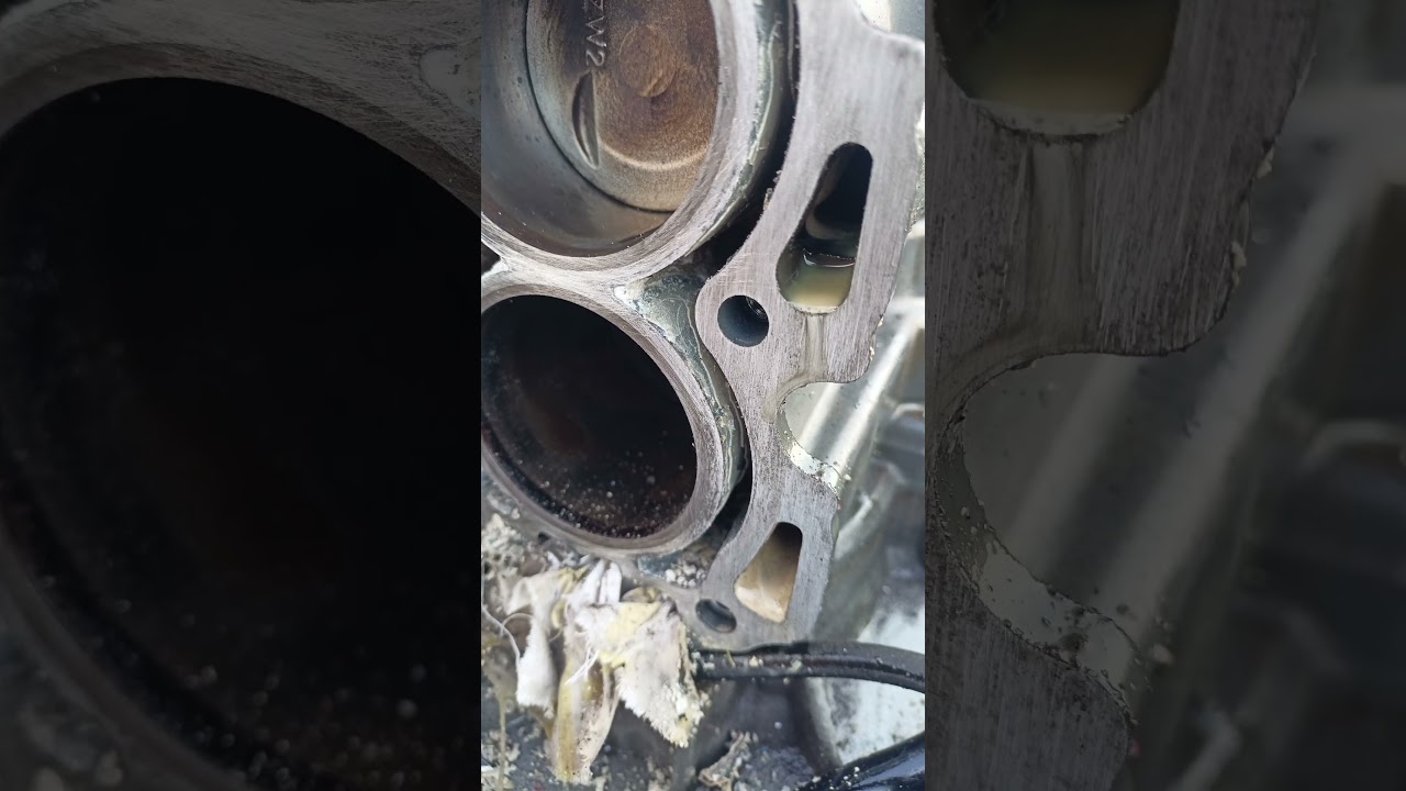 Honda bf30 water in oil