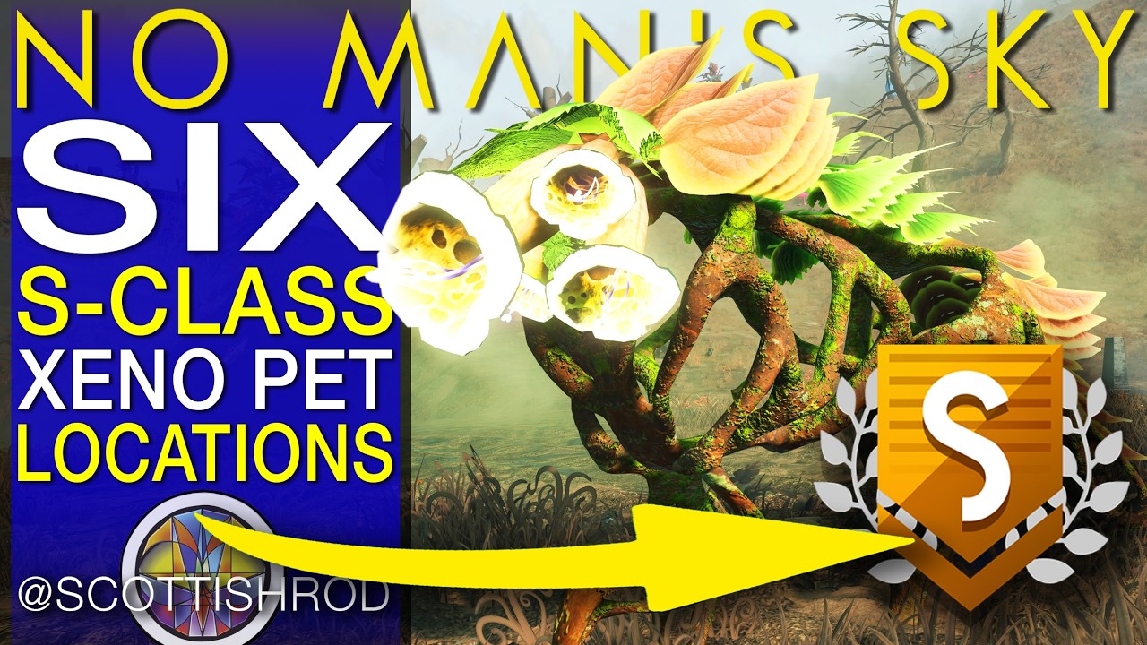 SIX AMAZING S-CLASS XENO PETS - Xeno Arena Mission Guide - No Man's Sky Update - NMS Scottish Rod