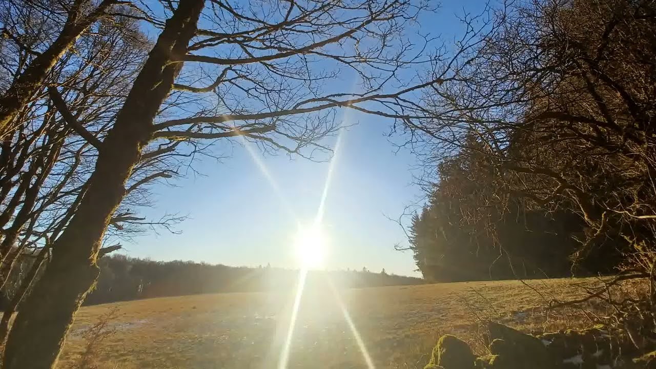 AusLiebeLiebenTun