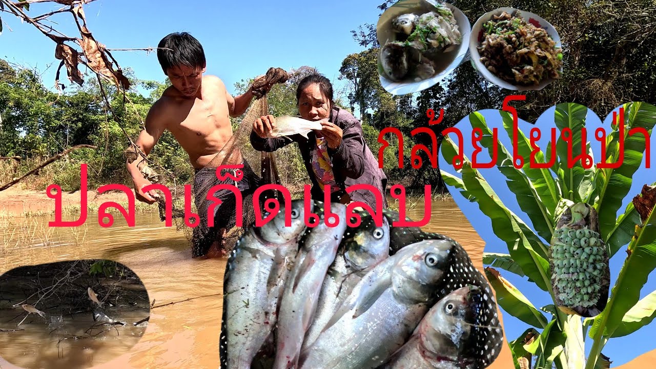 กล้อยปลาเก็ดแลบใส่หมากกอก//ກ້ອຍປາເກັດແລບໃສ່ຫມາກກອກ