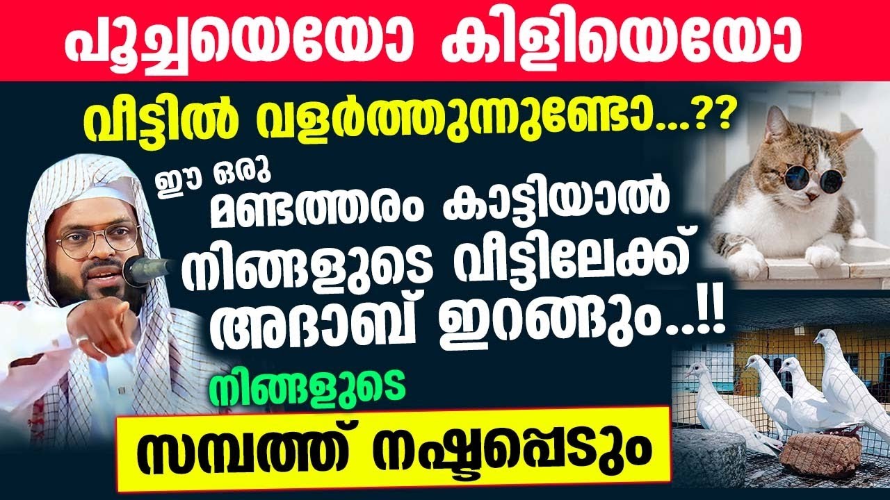കിളിയെയോ പൂച്ചയെയോ വീട്ടിൽ വളർത്തുന്നുണ്ടോ...?? ഇത് ചെയ്തില്ലെങ്കിൽ വീട്ടിലേക്ക് അദാബ് വരും Kummanam