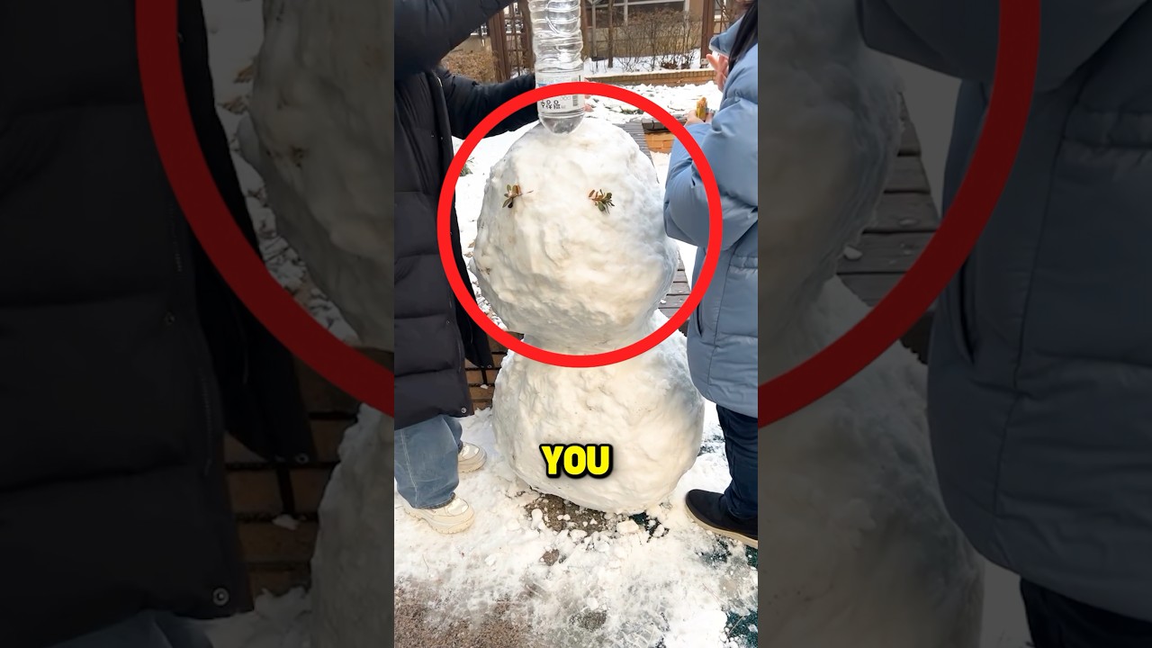 They DID SOMETHING INCREDIBLE with a SNOWMAN!☃️