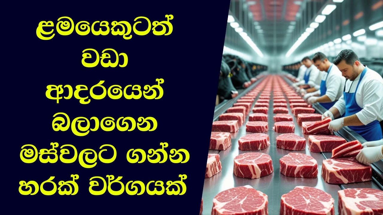 රාත්තලක් රුපියල් ලක්ෂයක් වන ලෝකයේ මිල අධිකම හරක් මස්