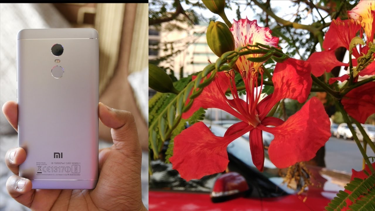 Xiaomi Redmi Note 4 Camera Review - Best Camera Smartphone In This Price?