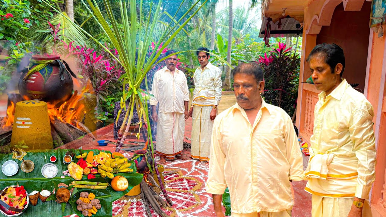 🔴 அம்மா இல்லாமல் கொண்டாடிய முதல் தைப்பொங்கள் / Happy Pongal / Tamil bros