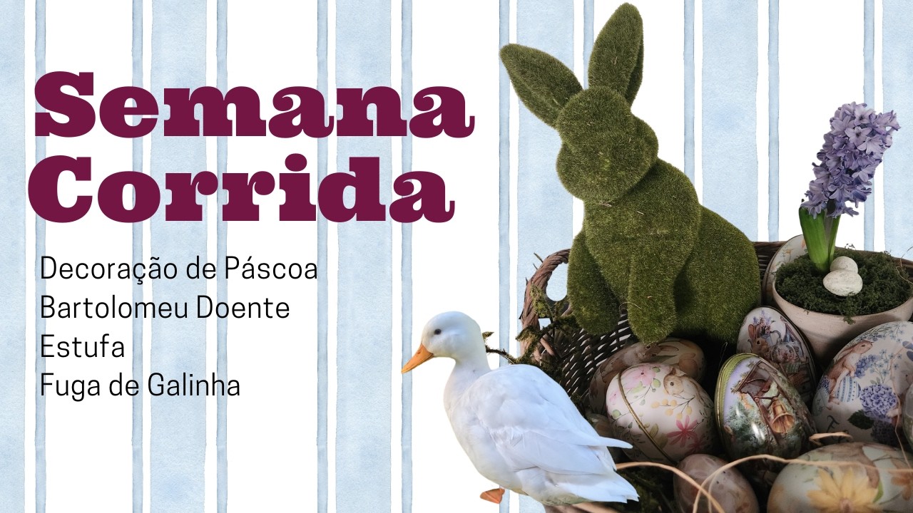 🐰🌿 Comecei a Decorar a Páscoa Farm… Mas Algo Aconteceu com o Bartolomeu