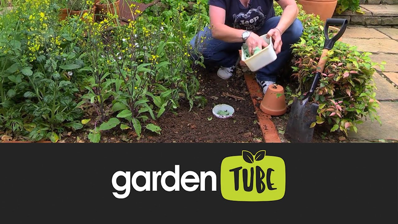 DIY Compost Pot