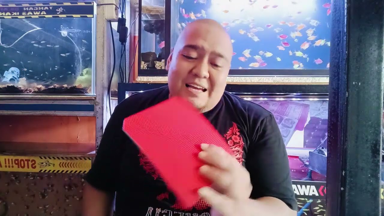 URANUS PRO Karet Bintik serang Bagus di gunakan di sisi Forehand ( Uranus Pro )