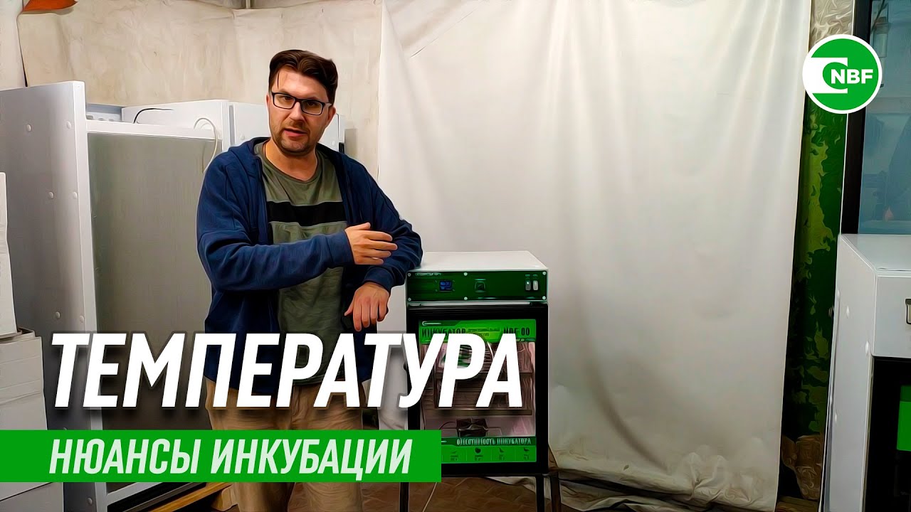 Температура в инкубаторе
