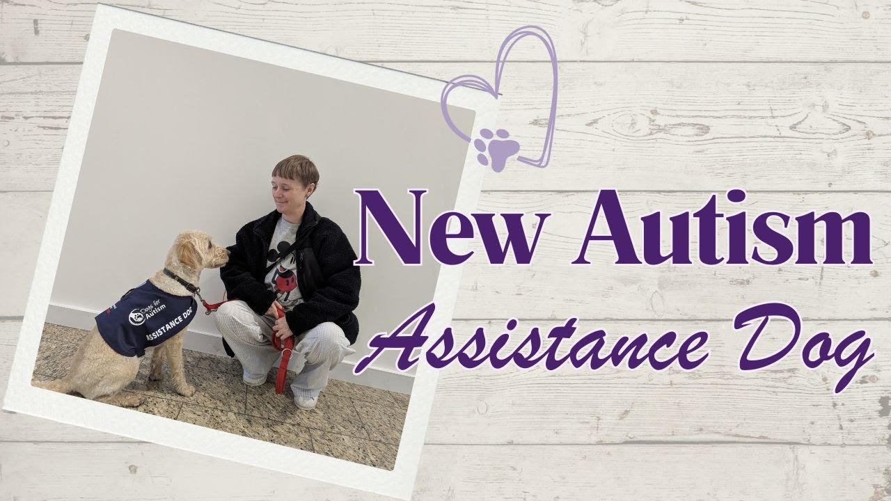 New Autism Assistance Dog Vlog