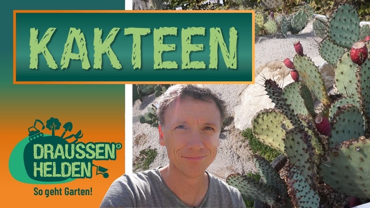Geniale Gärten - Kakteen
