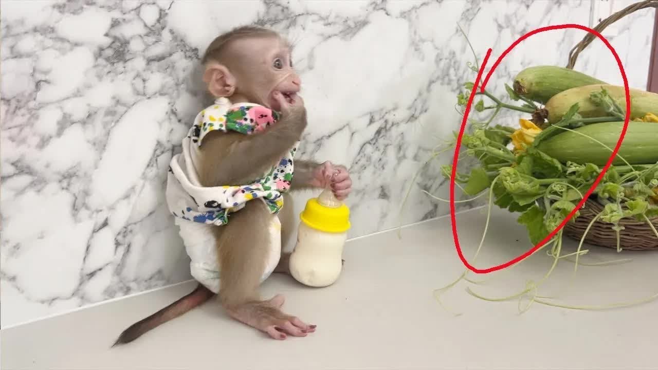 Stubborn Baby Baby Jelly Very Temper Mom Drop Her To Sit On Table