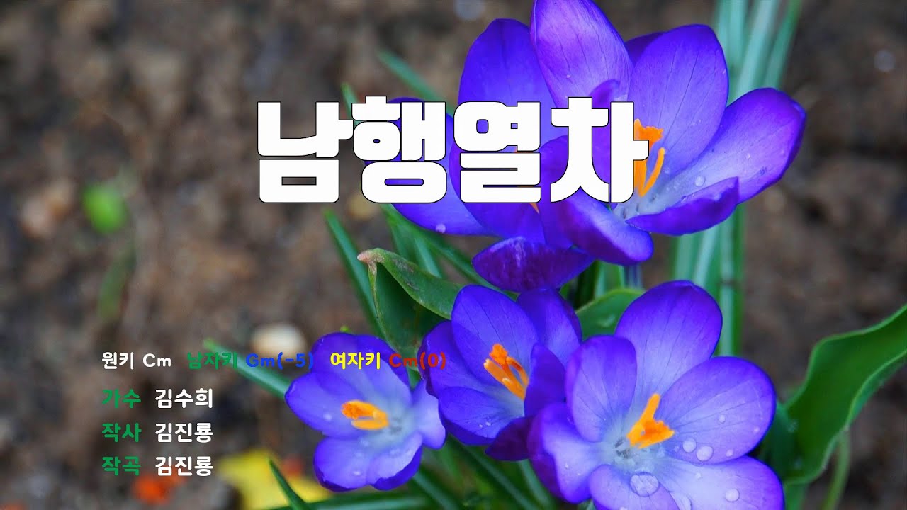[은성 반주기] 남행열차 - 김수희