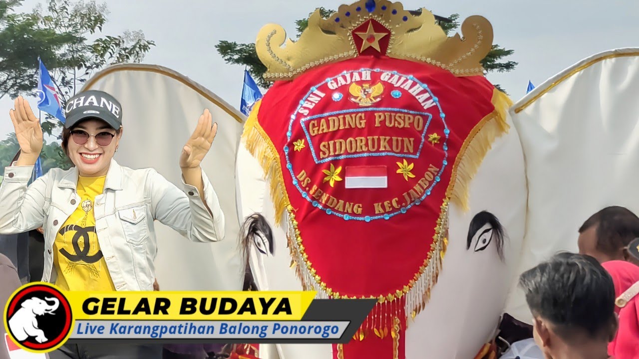 🌟 MUNCULNYA GAJAH PUTIH TERBESAR GEMPARKAN PENONTON DI LAPANGAN‼️ GELAR BUDAYA DESA KARANGPATIHAN
