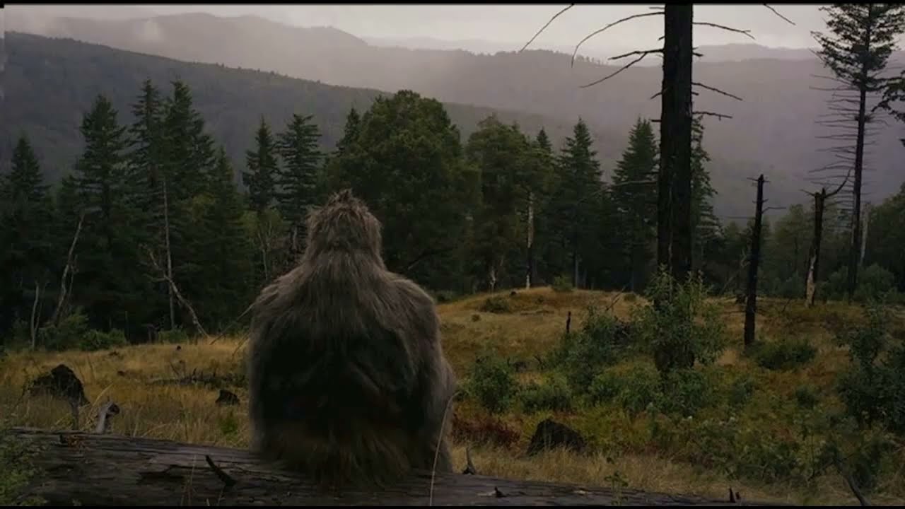 Lonely Big Foot