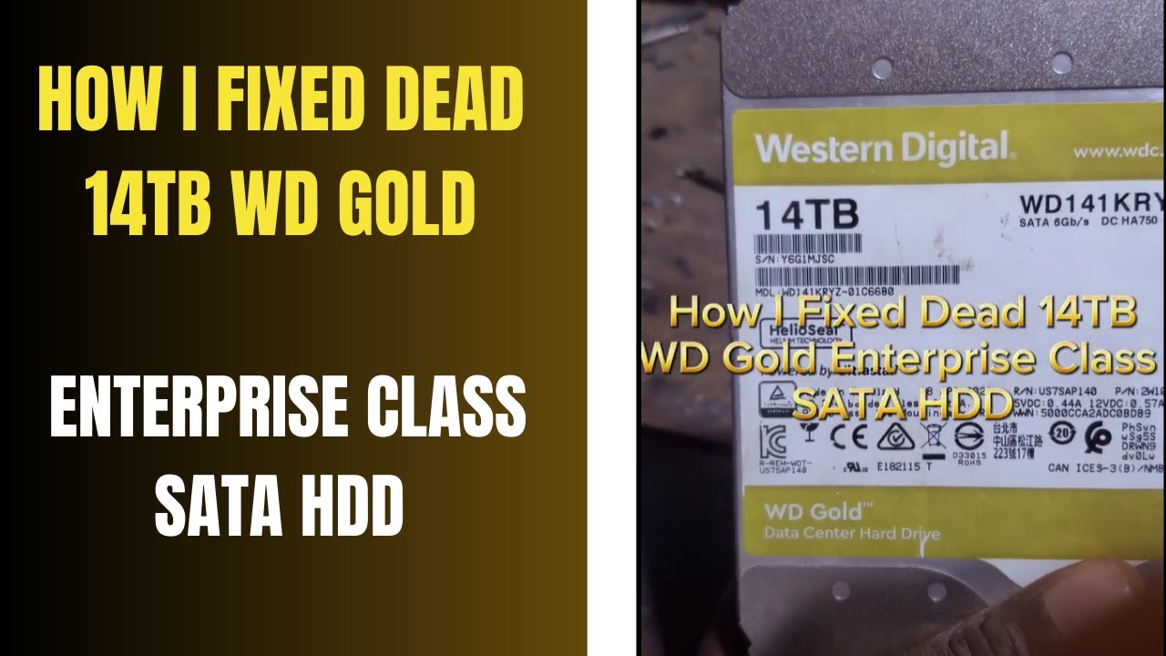 How I Fixed Dead 14TB WD Gold Enterprise Class SATA HDD