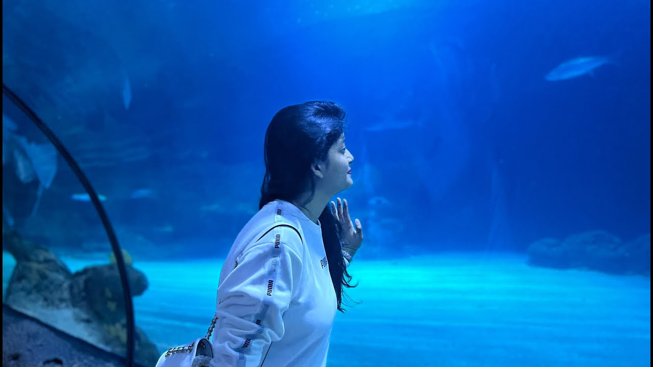 Rotterdam Zoo (Diergaarde Blijdorp) Netherlands 🇳🇱 #europe #indian #travel #vlog #youtuber