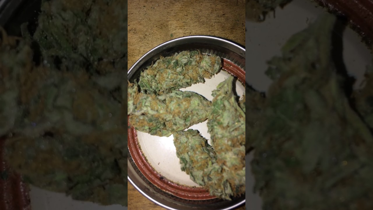 Delicious candy nug shots!!!!